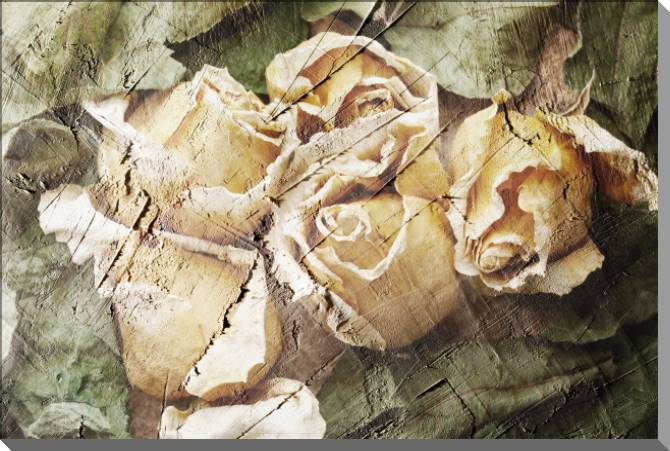 Купить и печать на заказ Картины на пластике, пеноркартоне Розы фреска