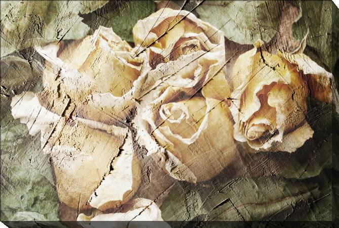 Картины на холсте Rose mural