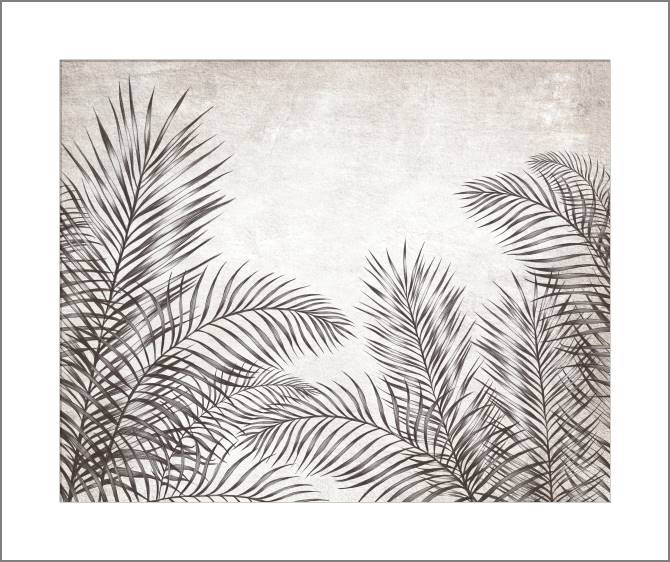 Paintings, photos from Passepartout Fresco fern