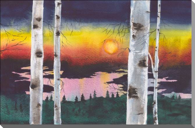 Купить и печать на заказ Картины на пластике, пеноркартоне Закат в березовом лесу