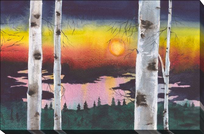 Картины на холсте Sunset in a birch forest