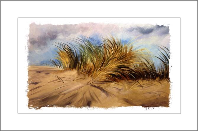 Paintings, photos from Passepartout Sand dunes