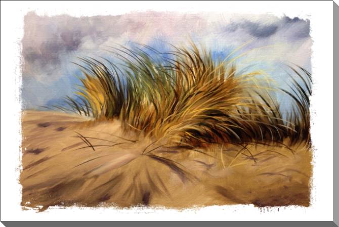 Купить и печать на заказ Картины на пластике, пеноркартоне Песчаные дюны