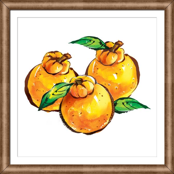 Paintings on canvas Juicy oranges