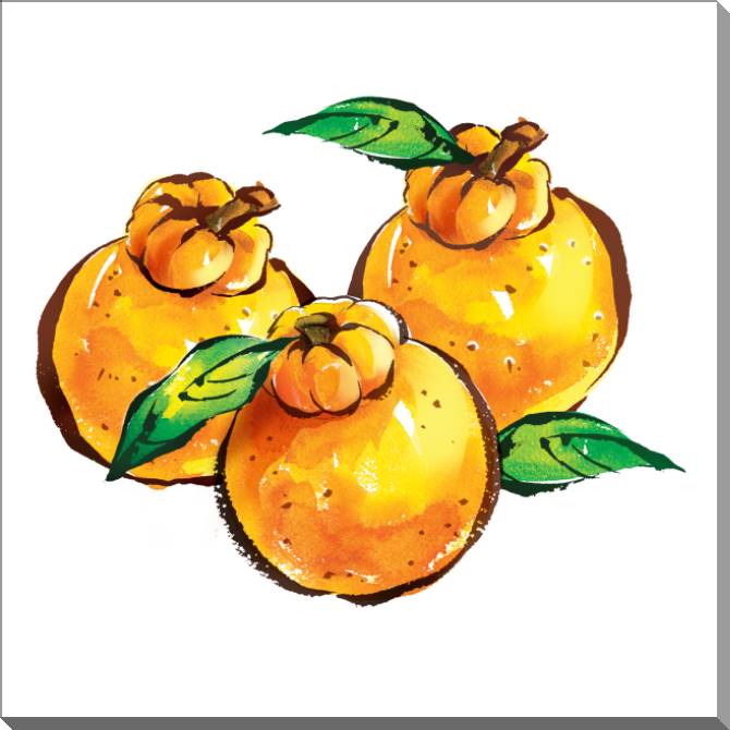 Купить и печать на заказ Картины на пластике, пеноркартоне Сочные апельсины