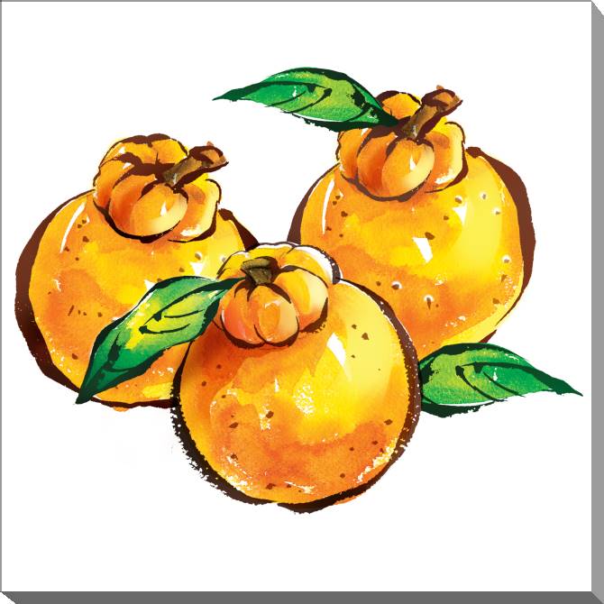 Купить и печать на заказ Картины на холсте Сочные апельсины