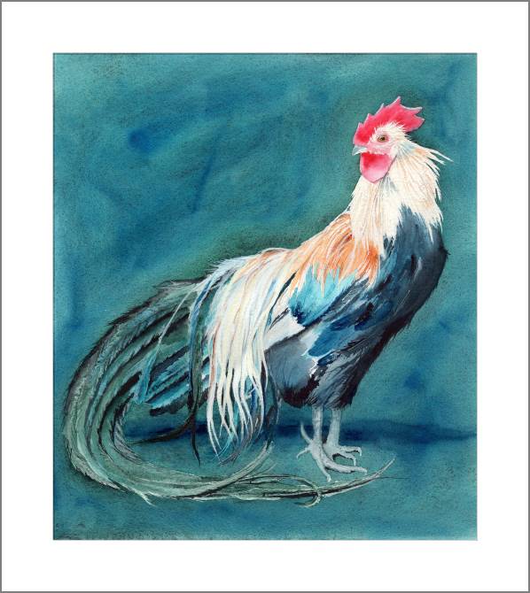 Paintings, photos from Passepartout Watercolor painting rooster