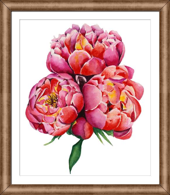 Paintings on canvas Beautiful pink peonies on a white background