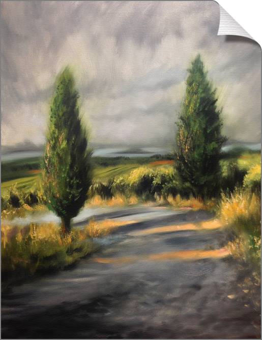 Купить и печать на заказ Картины на холсте Тосканские кипарисы