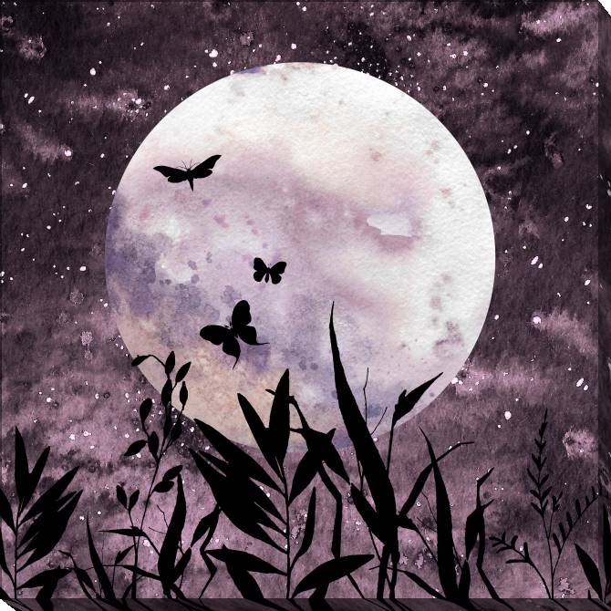 Картины на холсте Butterfly on background of the moon