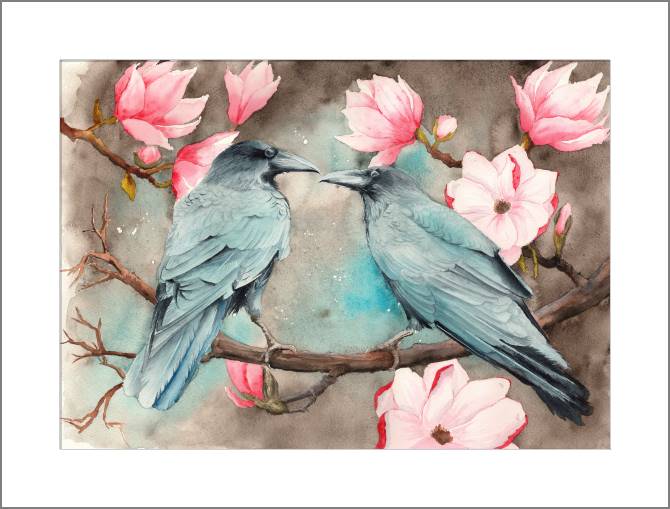 Картины, фото с паспарту Two ravens on the branches of Magnolia