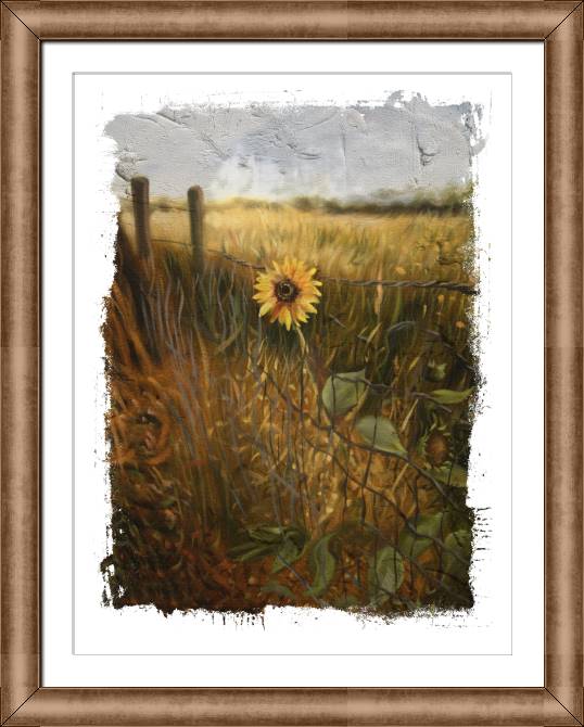 Paintings on canvas Lone sunflower