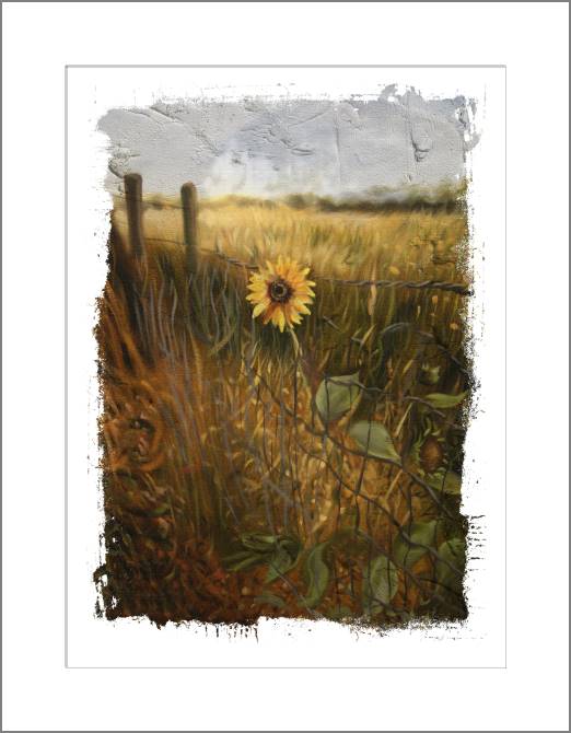 Картины, фото с паспарту Lone sunflower