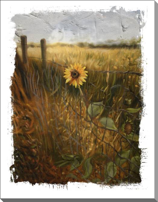 Купить и печать на заказ Картины на пластике, пеноркартоне Одинокий подсолнух