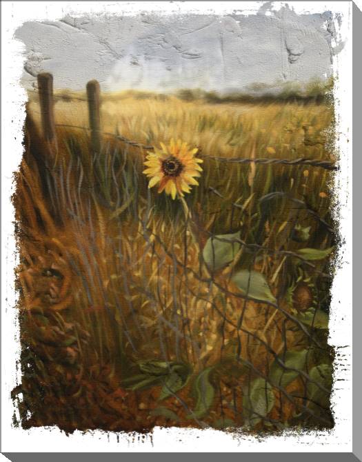 Paintings on canvas Lone sunflower