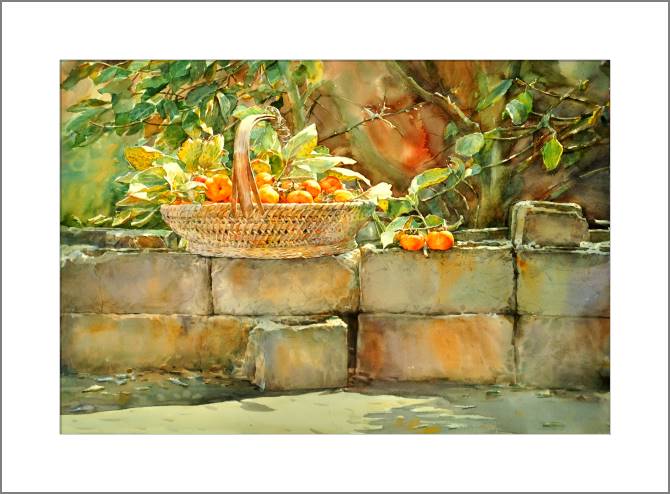 Картины, фото с паспарту Persimmon in the sun watercolor painting