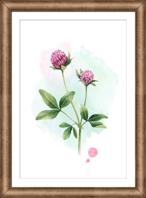 Paintings on canvas Watercolor clover