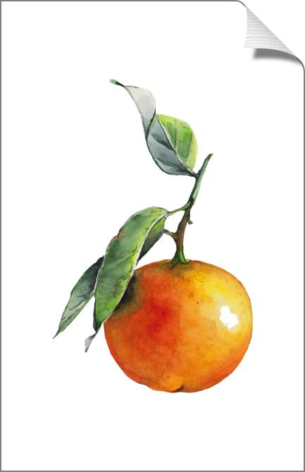 Купить и печать на заказ Картины на холсте Акварельный апельсин на белом фоне