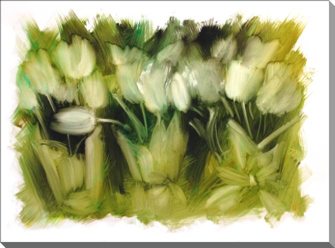 Купить и печать на заказ Картины на пластике, пеноркартоне Белые тюльпаны маслом