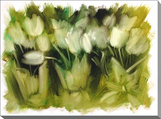 Картины на холсте White tulips oil