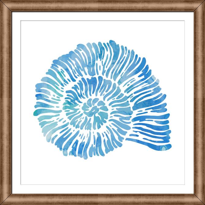 Купить и печать на заказ Картины на холсте Морская раковина