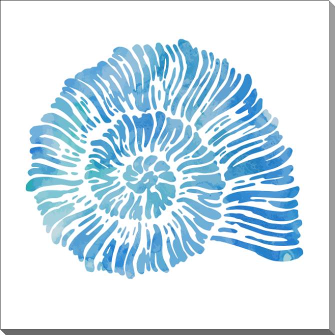 Купить и печать на заказ Картины на пластике, пеноркартоне Морская раковина