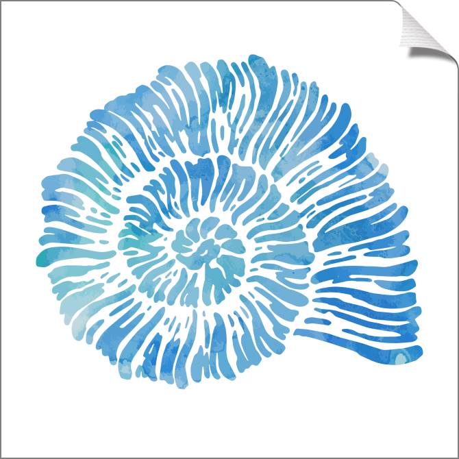 Купить и печать на заказ Картины на холсте Морская раковина