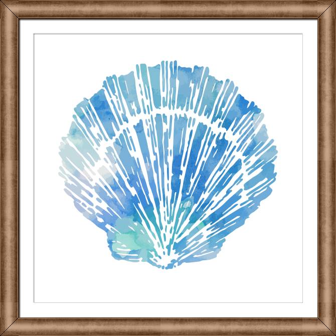 Купить и печать на заказ Картины на холсте Раковина морского гребешка