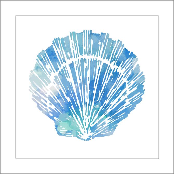 Купить и печать на заказ Картины, фото с паспарту Раковина морского гребешка