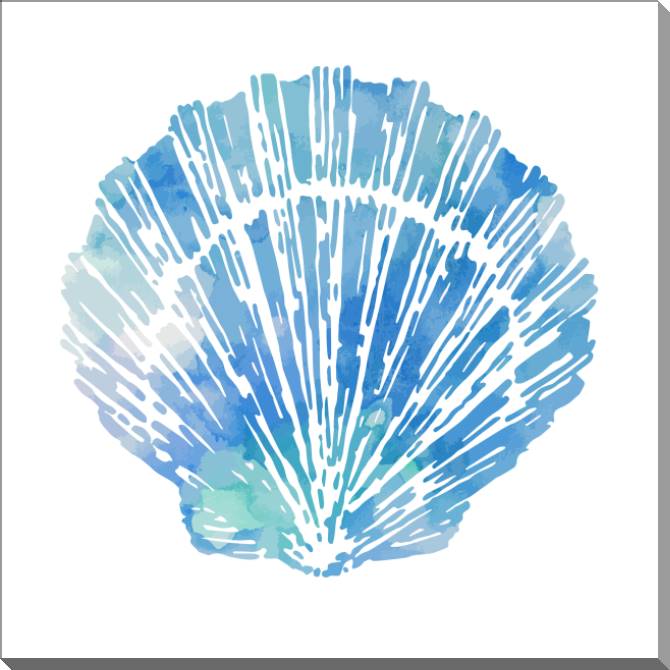 Купить и печать на заказ Картины на пластике, пеноркартоне Раковина морского гребешка