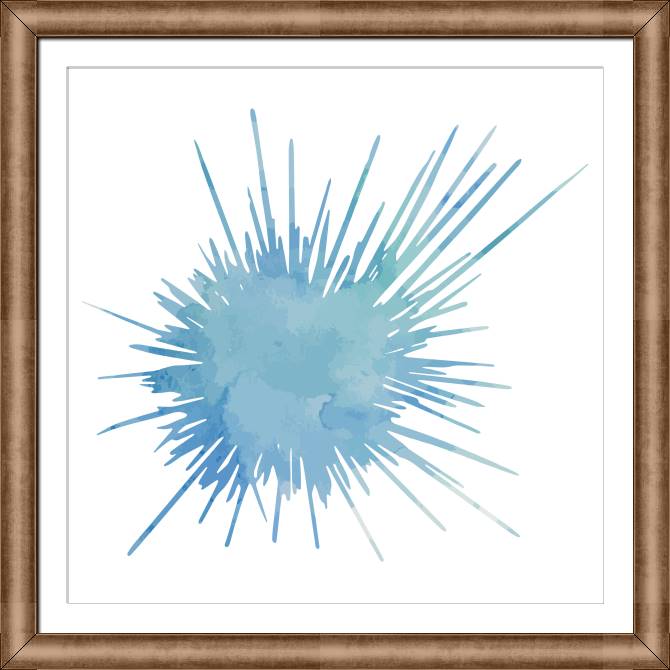 Купить и печать на заказ Картины на холсте Морской ёж