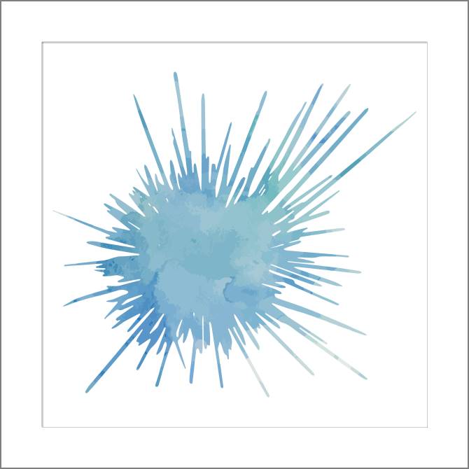 Купить и печать на заказ Картины, фото с паспарту Морской ёж