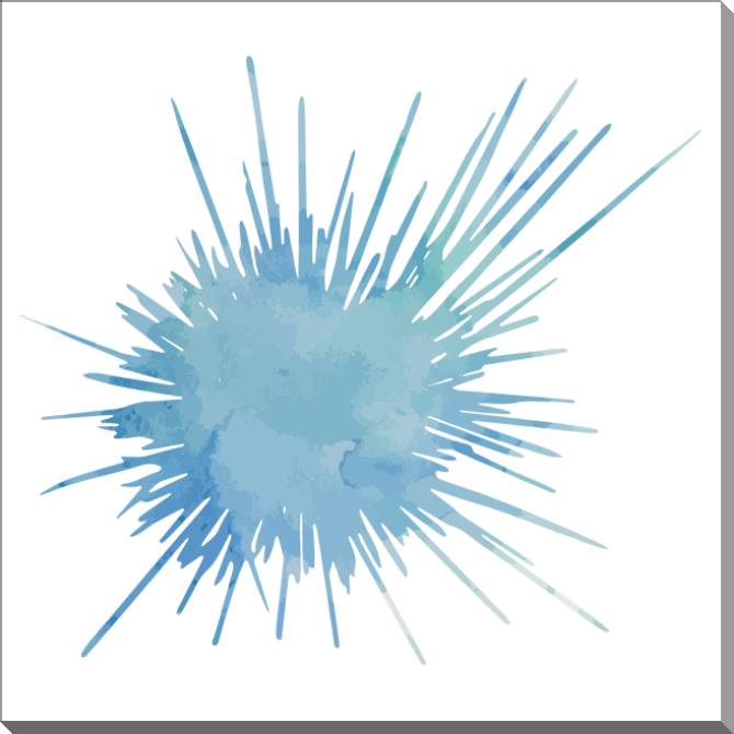 Купить и печать на заказ Картины на пластике, пеноркартоне Морской ёж