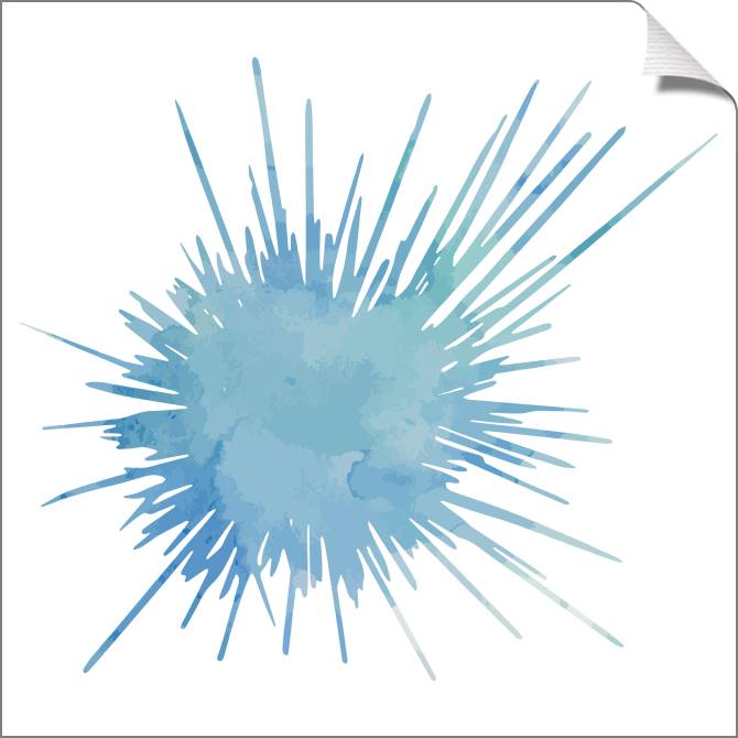 Купить и печать на заказ Картины на холсте Морской ёж