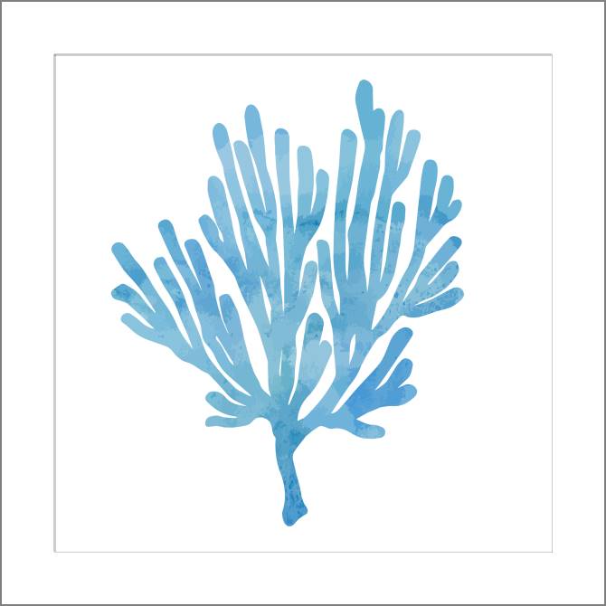 Купить и печать на заказ Картины, фото с паспарту Ветка коралла