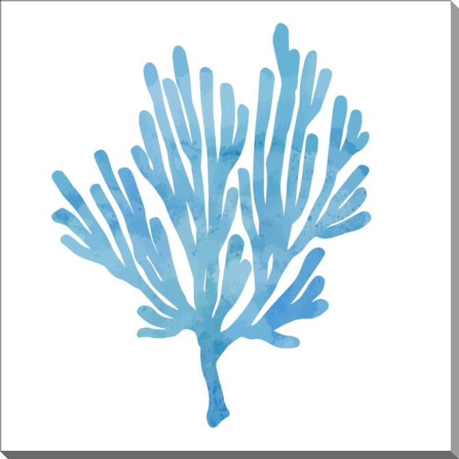 Купить и печать на заказ Картины на пластике, пеноркартоне Ветка коралла