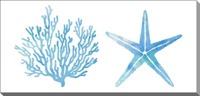 Купить и печать на заказ Картины на пластике, пеноркартоне Коралл и морская звезда