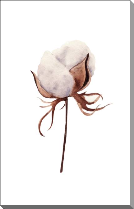 Купить и печать на заказ Картины на пластике, пеноркартоне Бутон хлопка