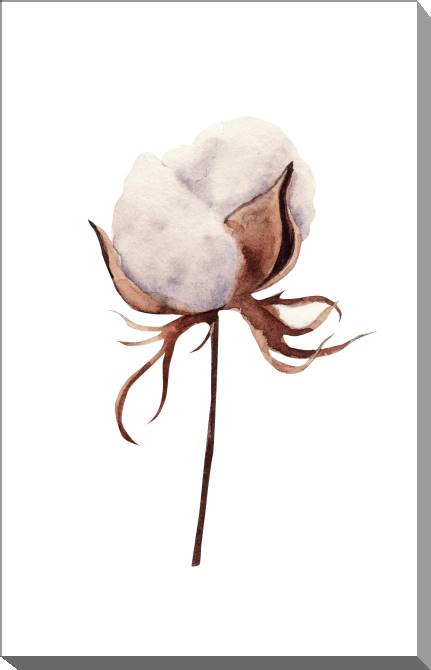 Paintings on canvas A series of gentle хлопок_1