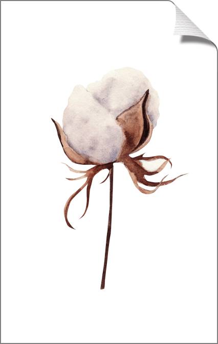 Купить и печать на заказ Картины на холсте Бутон хлопка