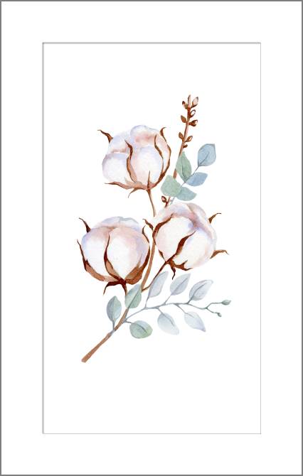 Купить и печать на заказ Картины, фото с паспарту Нежность хлопка