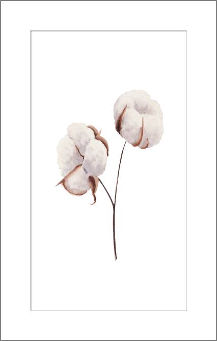 Купить и печать на заказ Картины, фото с паспарту Хлопковый минимализм