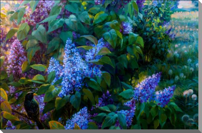 Купить и печать на заказ Картины на пластике, пеноркартоне Куст сирени на рассвете