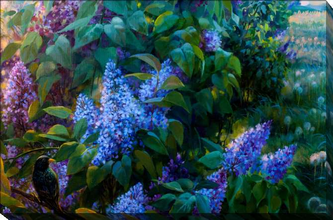 Paintings on canvas A series of Belarusian природа_2