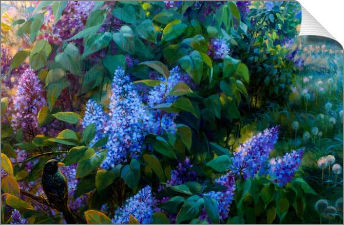 Купить и печать на заказ Картины на холсте Куст сирени на рассвете